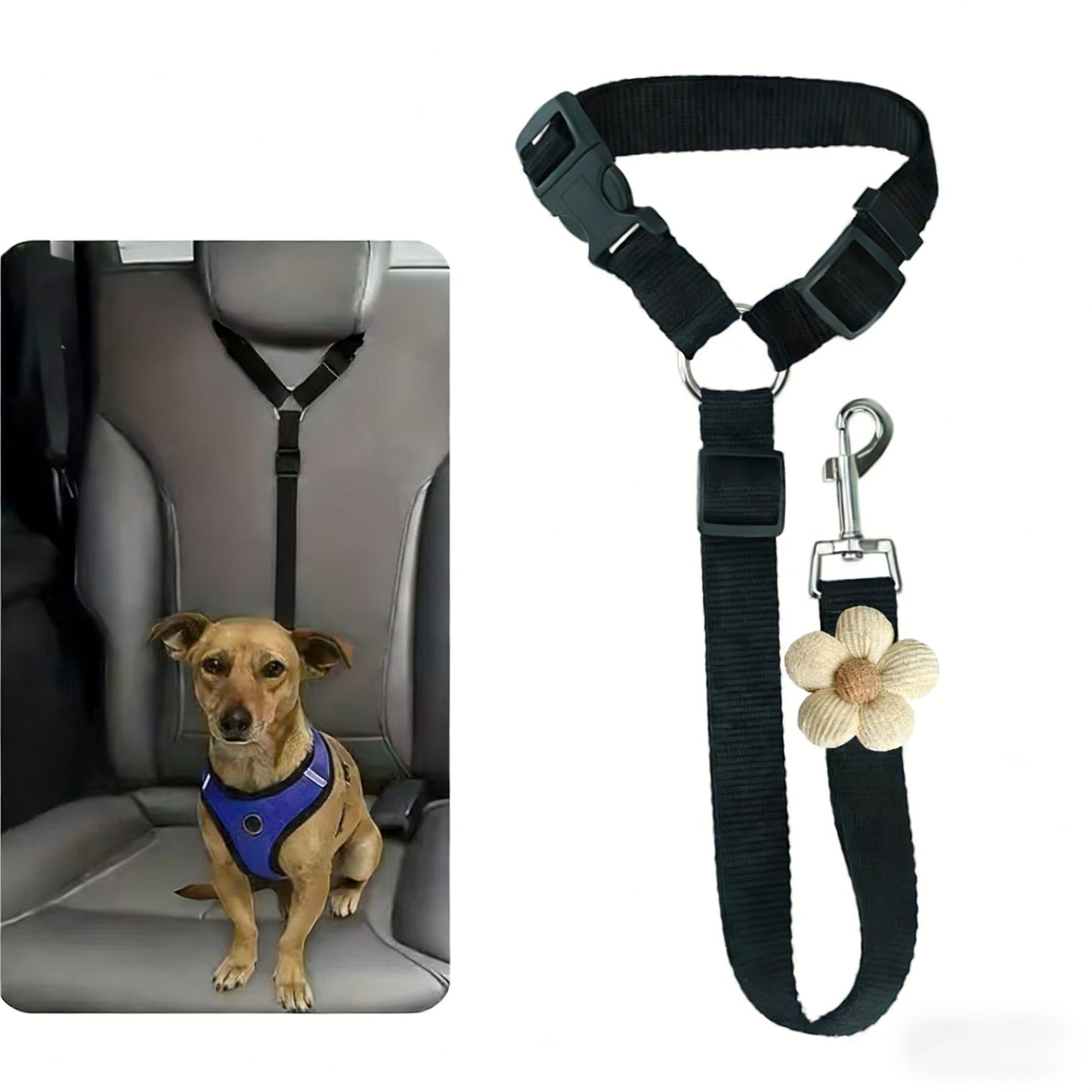 Pet Harnessed Seat Belt for Vehicle Use