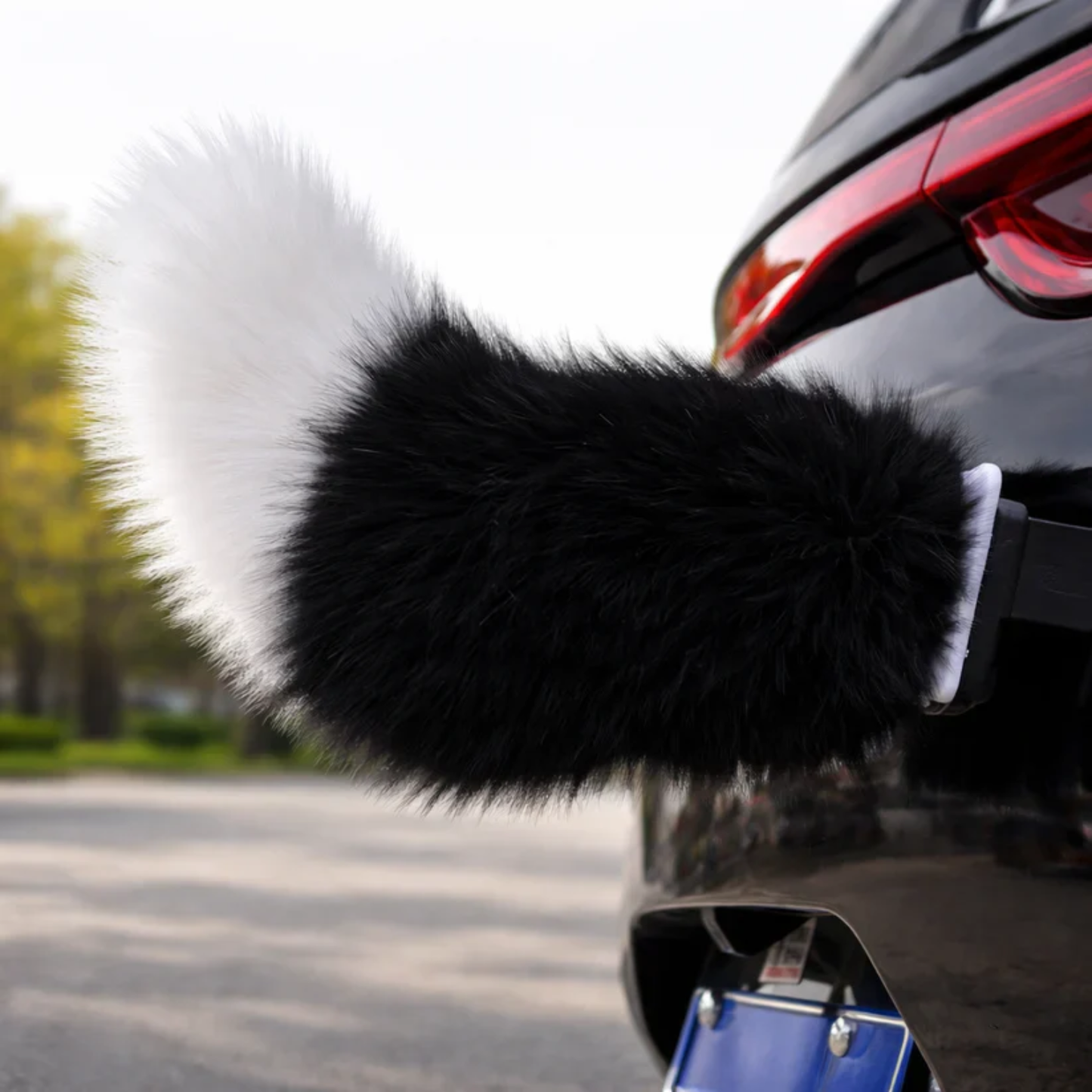 Moving Car Tail
