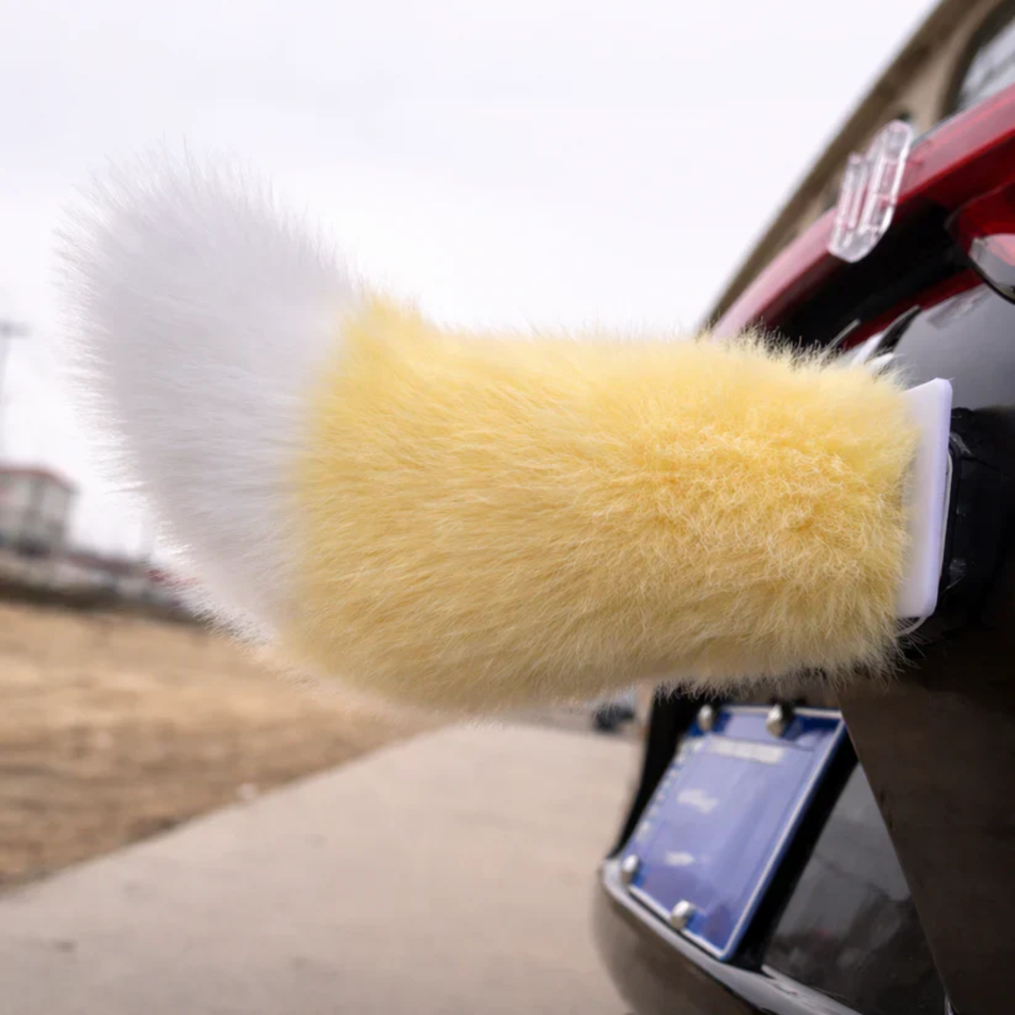 Moving Car Tail