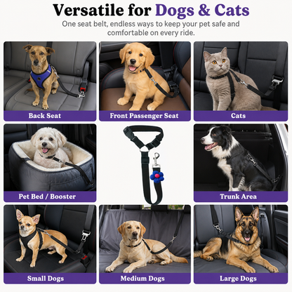 Pet Harnessed Seat Belt for Vehicle Use